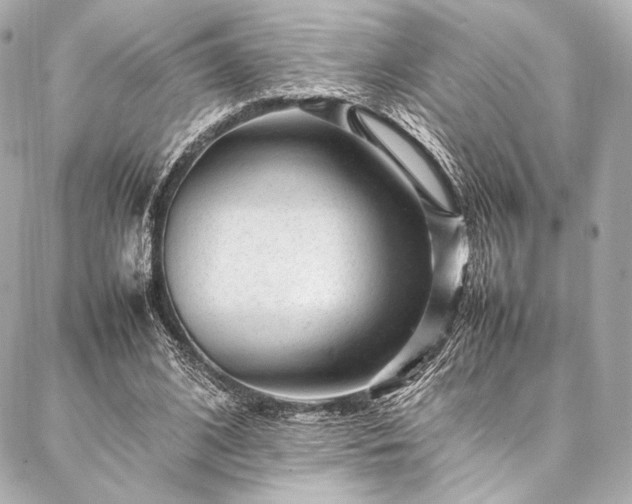 X0000086970584200704231518