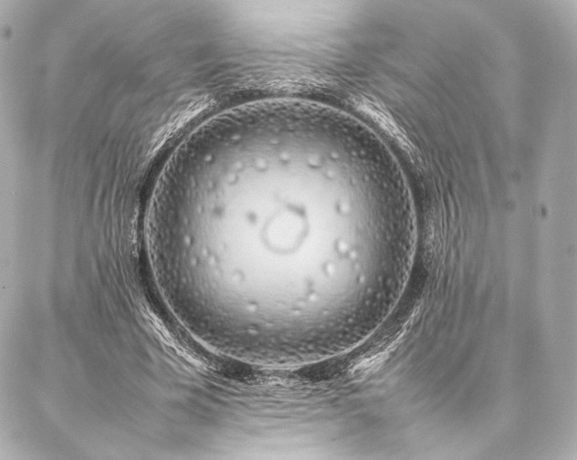 X0000086970585200704231518