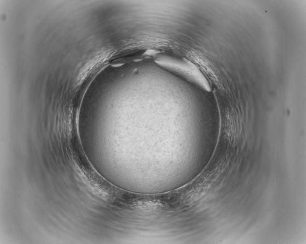 X0000086970586200704231517