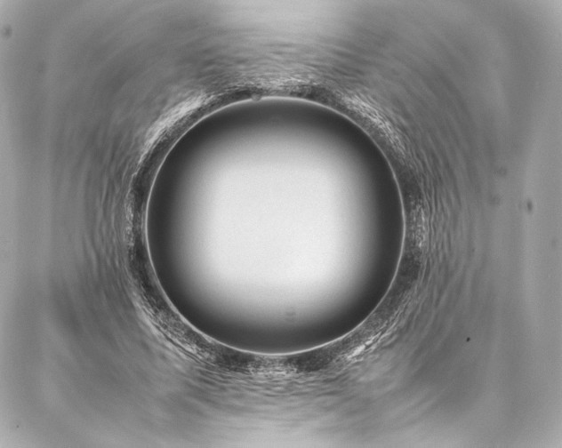 X0000086970587200704231517