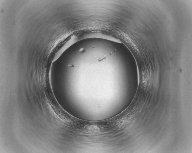 X0000086970588200704231517