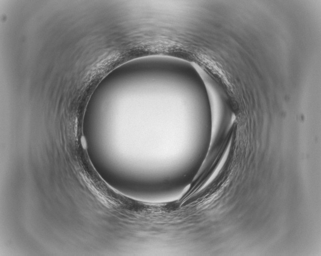 X0000086970589200704231517