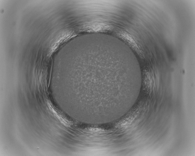 X0000086970590200704231517