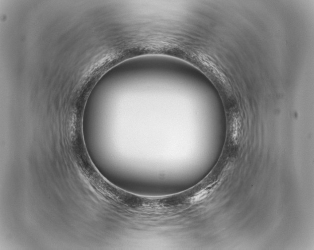 X0000086970591200704231517