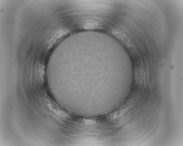 X0000086970592200704231517