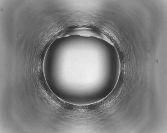 X0000086970593200704231517