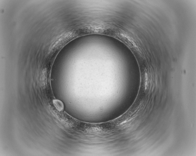 X0000086970594200704231517