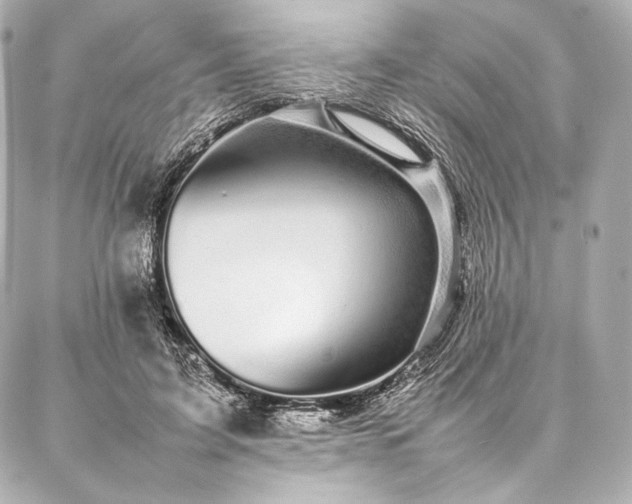 X0000086970595200704231517