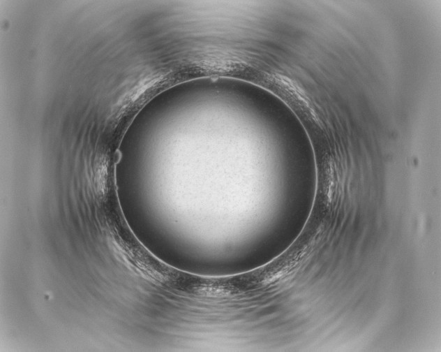 X0000086970596200704231517