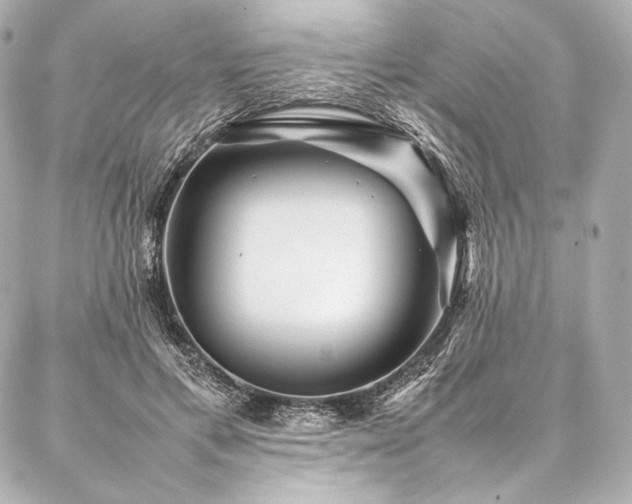 X0000086970597200704231517