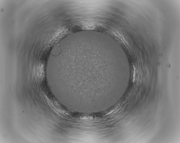 X0000086970598200704231517