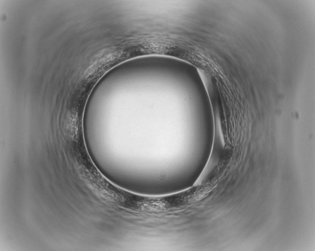 X0000086970599200704231517