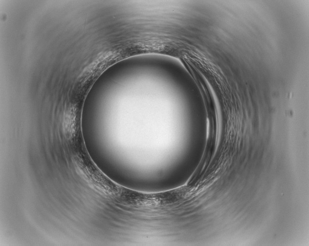 X0000086970600200704231517