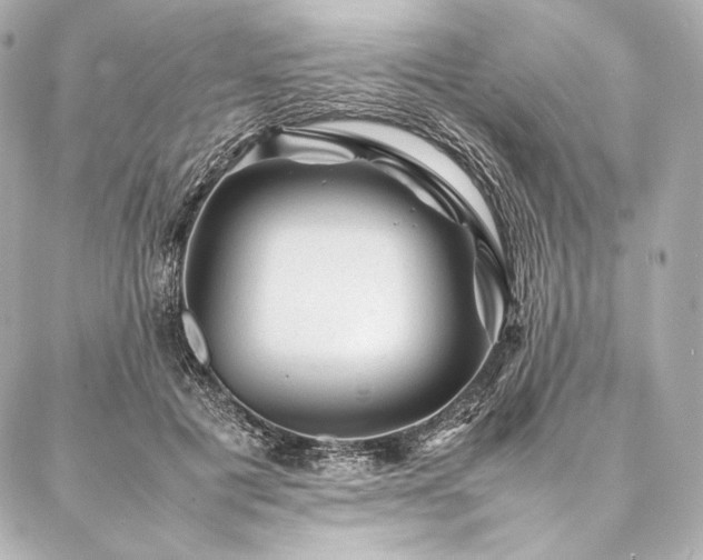 X0000086970601200704231517