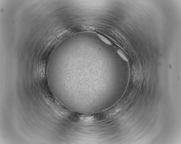 X0000086970602200704231517