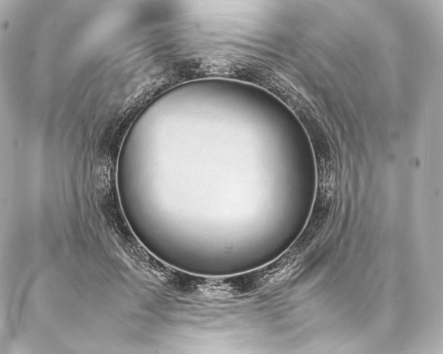 X0000086970603200704231517