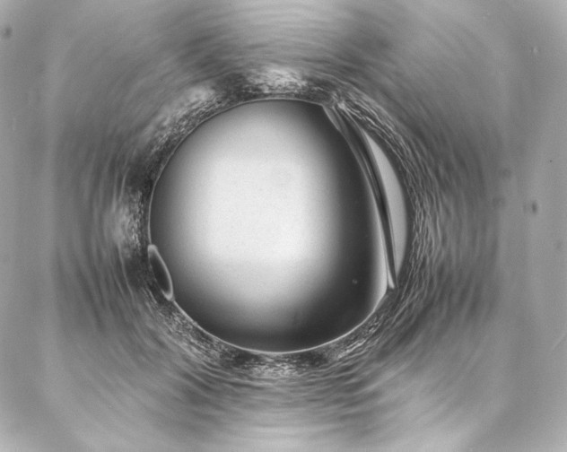 X0000086970604200704231517