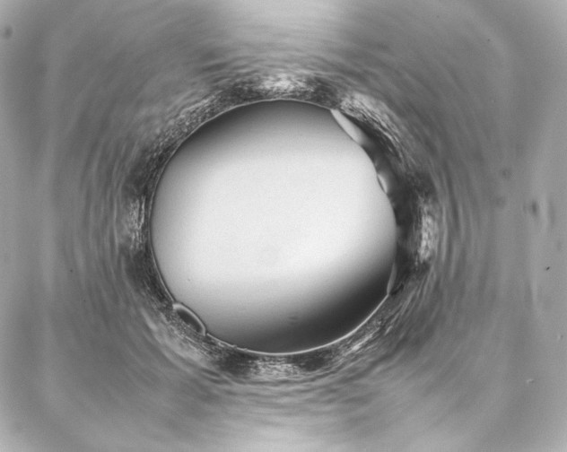 X0000086970605200704231517