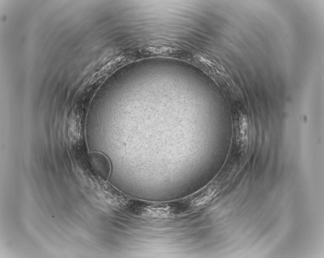 X0000086970606200704231517