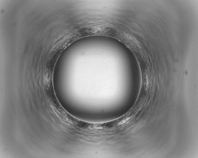 X0000086970607200704231517