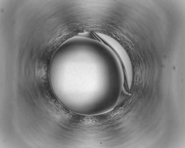 X0000086970608200704231517