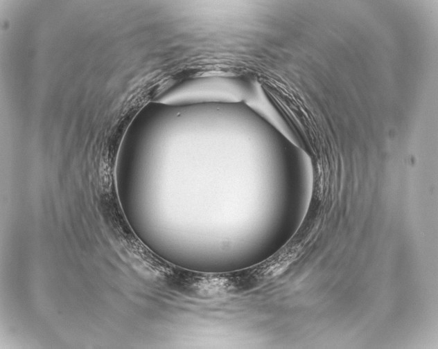 X0000086970609200704231517