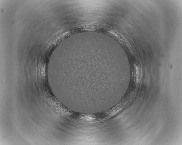 X0000086970610200704231517