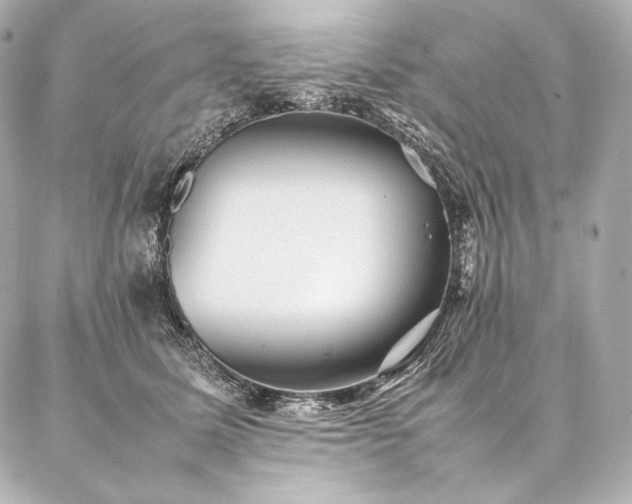 X0000086970611200704231517