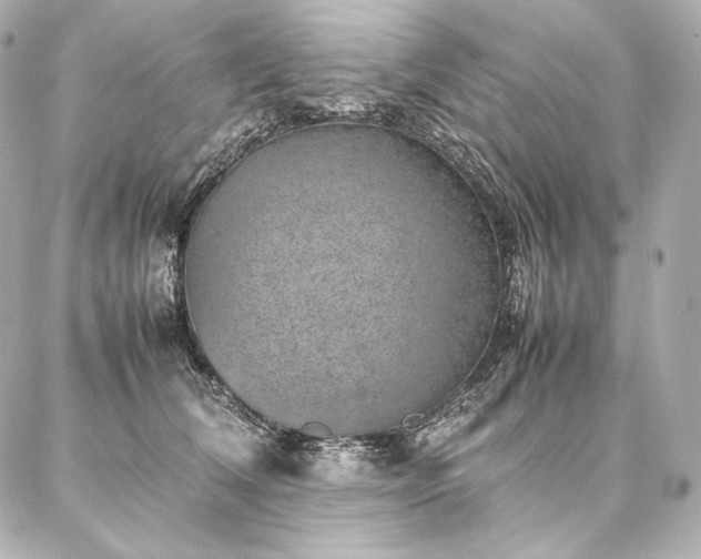 X0000086970612200704231517