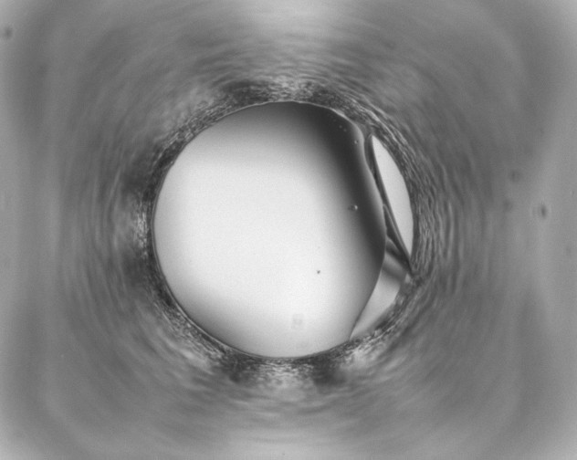 X0000086970613200704231517