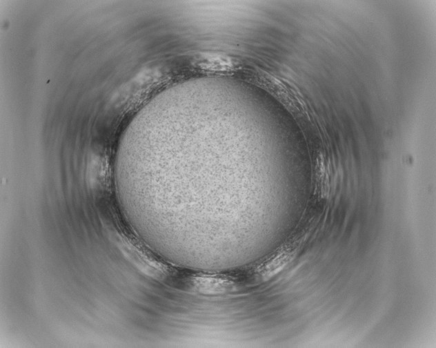 X0000086970614200704231517