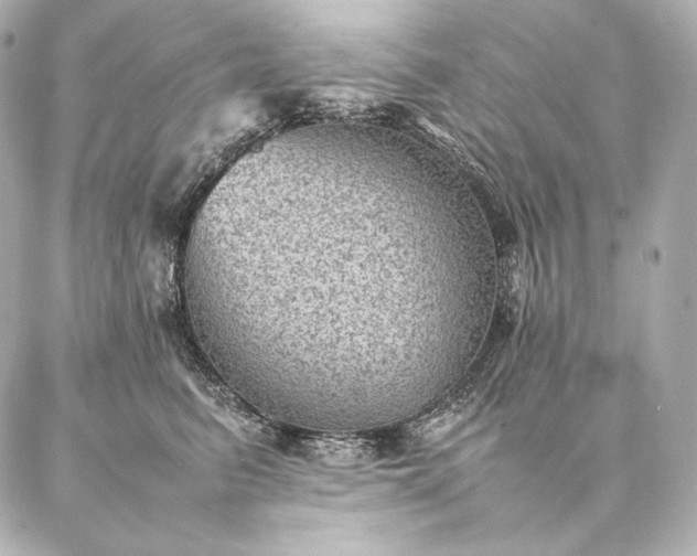 X0000086970615200704231517