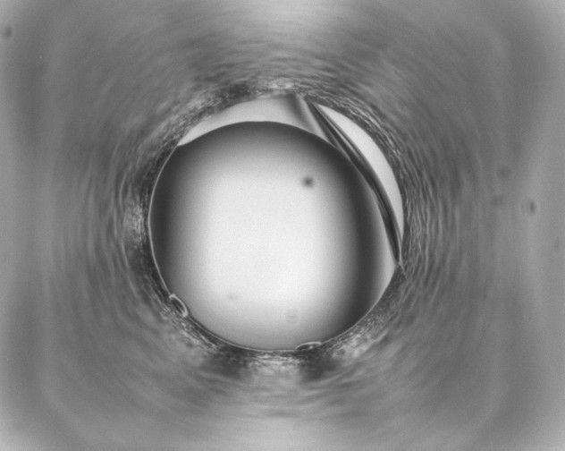 X0000086970617200704231517