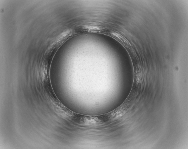 X0000086970618200704231517