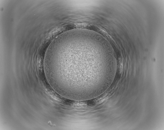 X0000086970619200704231517