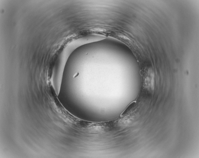 X0000086970620200704231517