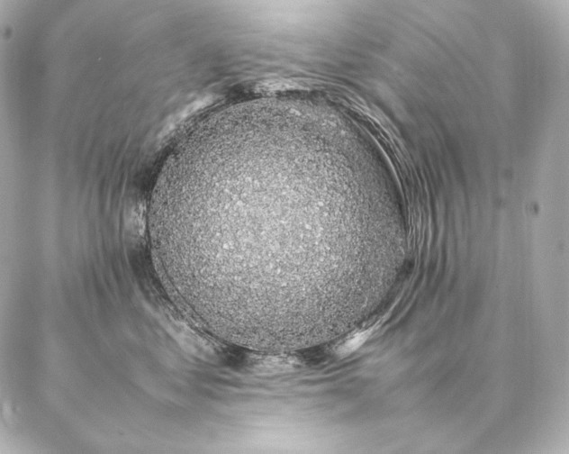 X0000086970621200704231517