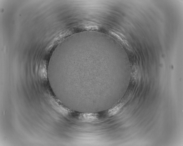 X0000086970622200704231517