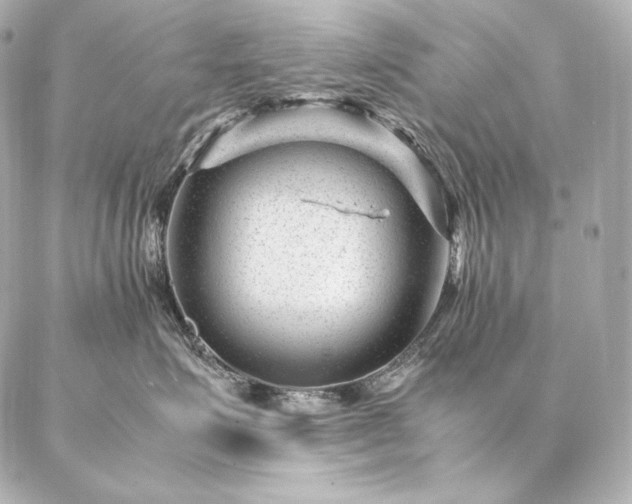 X0000086970623200704231517