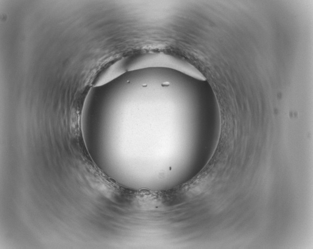 X0000086970624200704231517