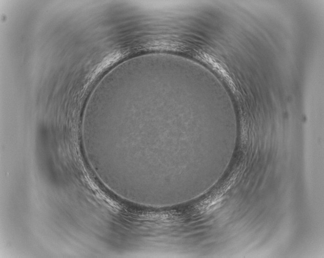 X0000086970625200704231516