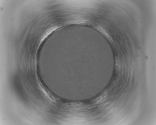 X0000086970626200704231516