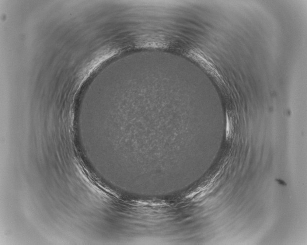 X0000086970627200704231516