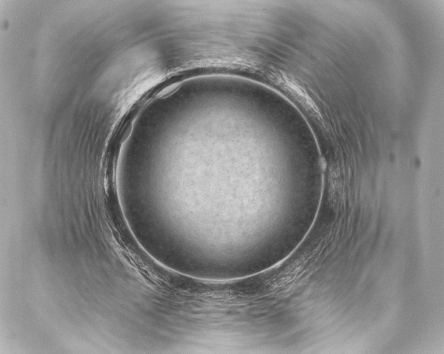 X0000086970628200704231516