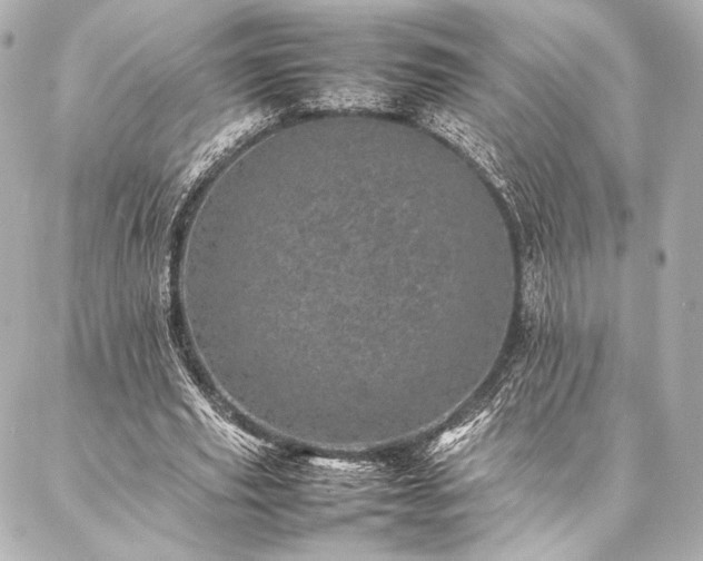 X0000086970629200704231516