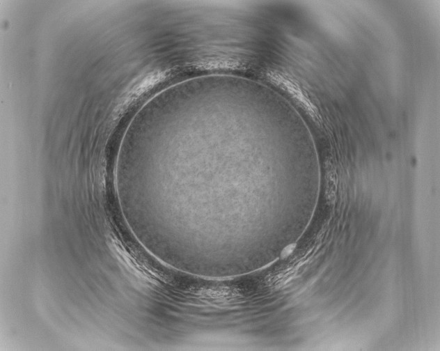 X0000086970631200704231516