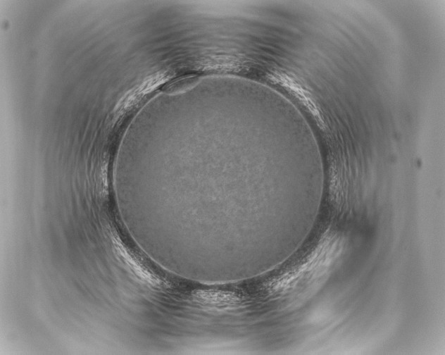 X0000086970633200704231516