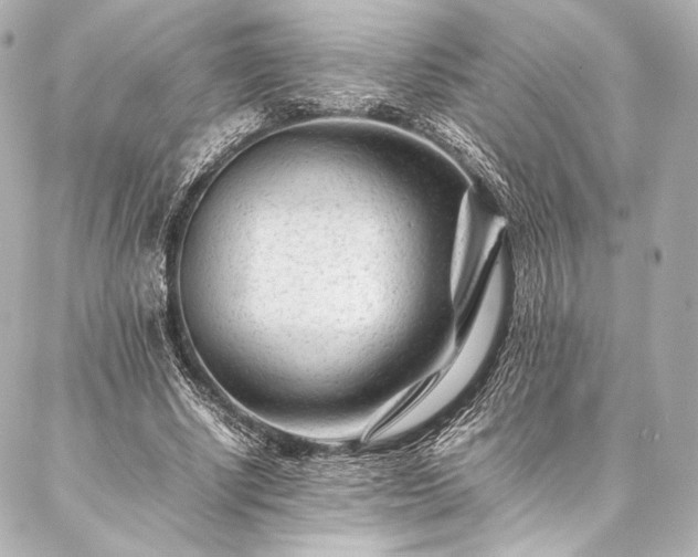 X0000086970634200704231516