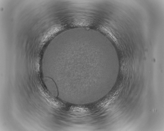 X0000086970635200704231516