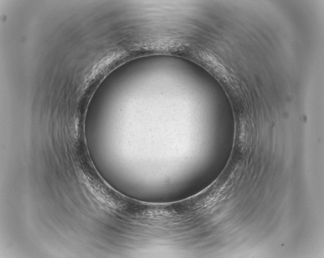 X0000086970636200704231516